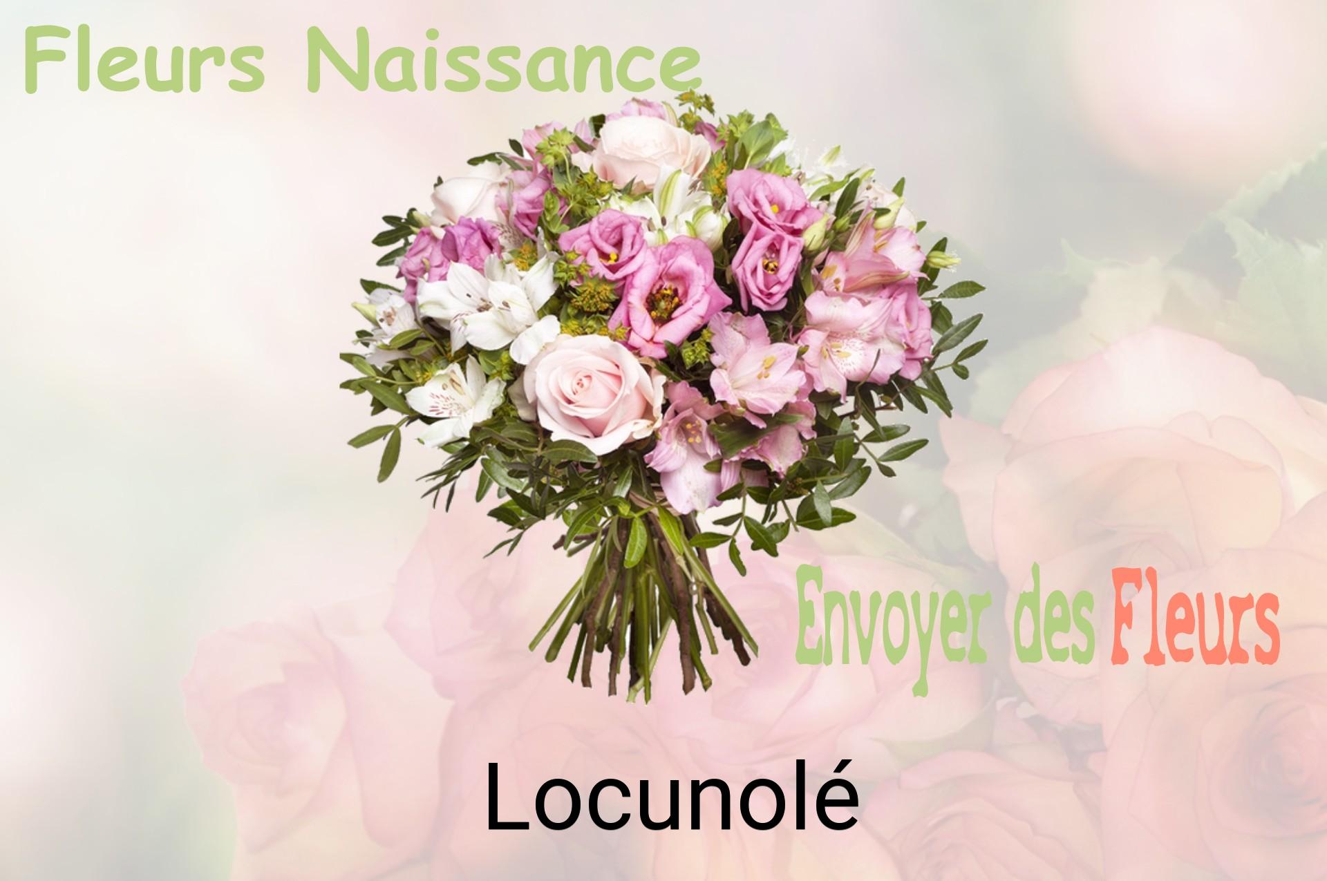 Bouquet de fleurs de naissance livré à Locunolé