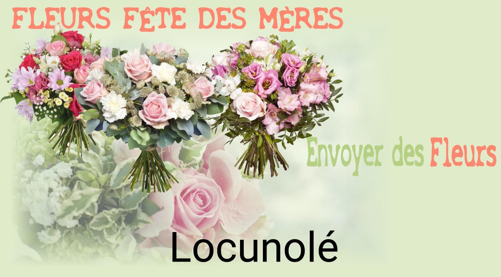 Bouquet de Fête des Mères livré à Locunolé